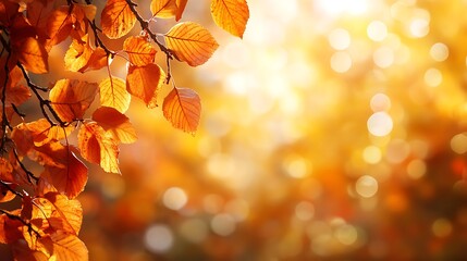 Poster - Beautiful autumn landscape with falling leaves and sunbeams in the park