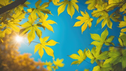 Poster - Early autumn foliage changes to yellow