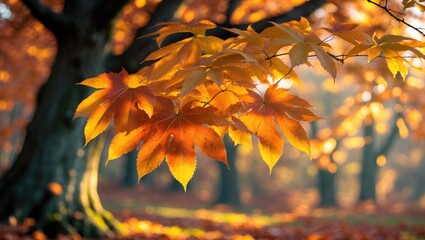 Poster - Stunning image of an autumn tree with brown leaves, illuminated by sunlight filtering through the foliage.