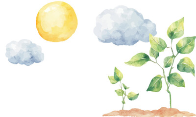 Wall Mural - watercolor clouds and sun on the left, cotton plant with green leaves on the right on a white backgr