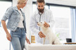 © sofiko14 - Veterinarian holding dog on table with stethoscope, owner observing. Man young adult, beard, white coat. Woman blonde, denim jacket, casual. Dog white terrier, small size.