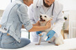 © sofiko14 - Veterinarian applying bandage to a small dog with injured leg while young woman helps. Depicts care, compassion, and pet treatment in a modern veterinary clinic