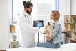 © sofiko14 - Veterinarian with beard and woman holding white dog in bright clinic discussing x-ray results. Male veterinarian wearing coat and gloves, woman with short hair sitting, cheerful dog in her arms.