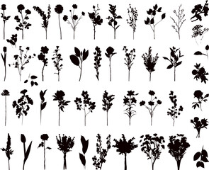 Wall Mural - flowers set, silhouette vector collection on white background