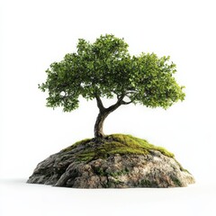 Poster - Solitary Tree Growing on a Mossy Rock, a Symbol of Resilience and Nature's Enduring Power on a White Background.