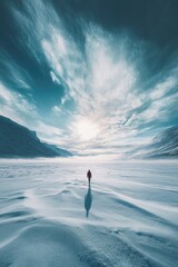 Poster - A person walks alone across a snow-covered field, with vast open space and no signs of human activity