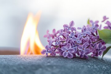 Poster - A group of colorful purple flowers sitting on a table, great for still life or decorative purposes