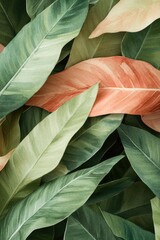 Poster - A close-up view of a cluster of leaves with intricate details