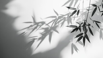 Poster - Abstract shadows of bamboo leaves on a white wall. Possible use Background, wallpaper, minimalist design