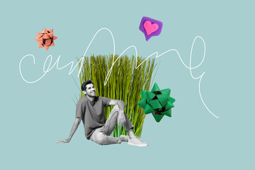 Poster - Composite trendy magazine photo collage of happy dreamy man sit flower grass pot bow present heart icon blogger feedback