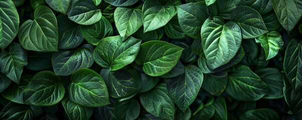 Leaves texture background, 4K hyperrealistic photo.
