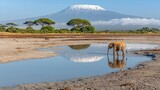 Stunning amboseli dusk with kilimanjaro peak elephant reflection nature landscape serene viewpoint