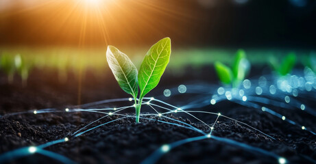 Poster - Modern agricultural practices use technology to improve crop selection and growth. In a vibrant field, a young plant thrives with digital connections symbolizing innovation and data integration.