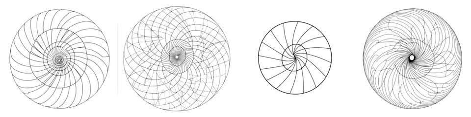 Poster - Intricate patterns of spirals and curves showcasing mathematical beauty and symmetry in black and white