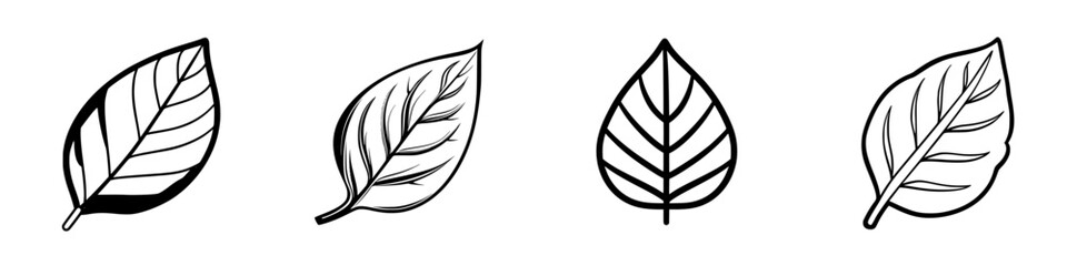 Poster - Various styles of leaf illustrations showcasing different shapes and details suitable for design projects or nature studies