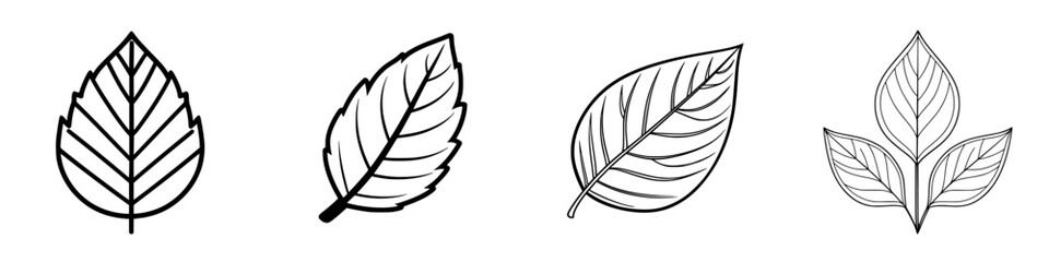 Poster - Detailed line drawings of various leaf shapes showcasing nature's diversity in design and texture
