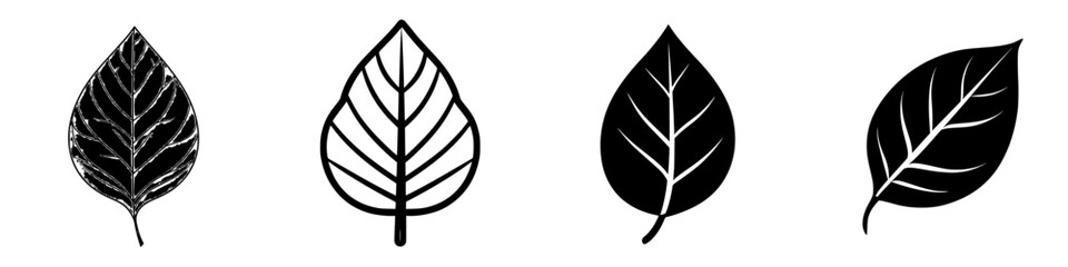 Poster - Various styles of leaf illustrations showcasing different shapes and designs ideal for nature-inspired art or graphic design projects