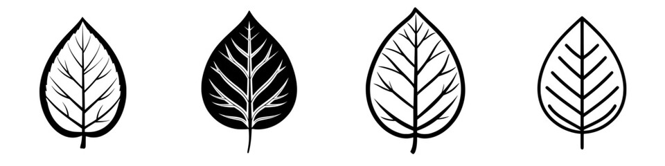 Poster - Various designs of leaves showcasing intricate patterns and shapes in a minimalist style