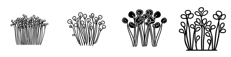 Poster - Various artistic renderings of sprouting plants in black and white style on a plain background