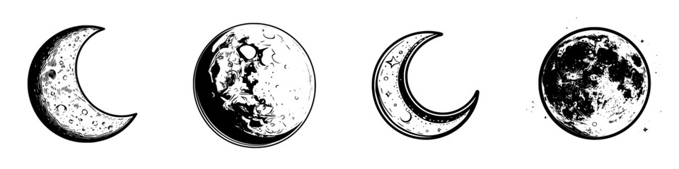 Poster - various phases of the moon illustrated in a series showcasing lunar cycles and celestial beauty