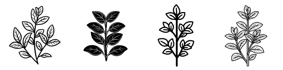 Poster - Botanical sketches of various leafy plants showcasing detailed leaf structures in a clean design