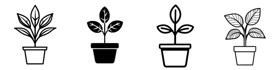 Poster - variety of potted plants illustrated in simple line art style on a white background