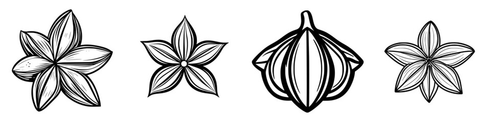 Poster - Design featuring four different types of flowers in a simple black and white illustration style, emphasizing their unique shapes and details
