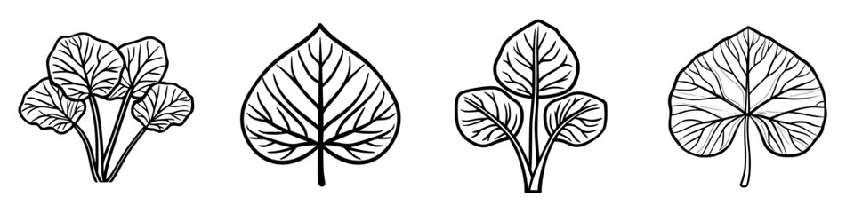 Poster - Leafy illustrations showcasing various plant shapes and designs with intricate details and natural patterns