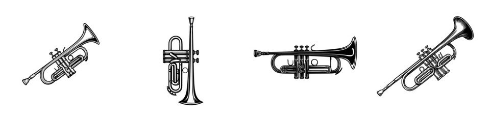 Poster - Various types of trumpets displayed together in a collection showcasing different designs and styles