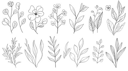 Modern illustration of a minimalist botanical drawing featuring a flower with leaves in a continuous line drawing style, isolated on a white background with black sketches of leaves and branches