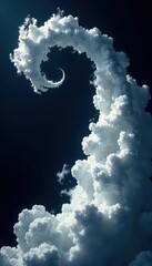 Wall Mural - Intricate white clouds swirl on a deep black backdrop , weather, surreal, shadow