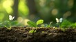 © Artlog Studio - Three Saplings and Butterflies in a Sunlit Garden