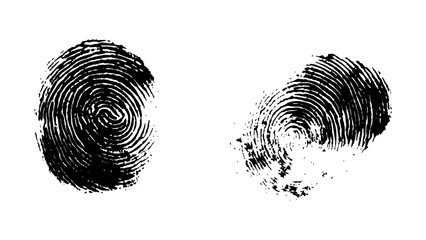 Wall Mural - detailed fingerprint on grunge background symbolizing identity verification. vector style white and 