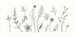 © Adisorn - Botanical Pillow Covers - Hand Drawn Foliage Designs