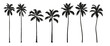 © Anna Sm - Tropical palm tree set. Collection of monochrome graphic silhouettes. Abstract botanical elements isolated on a white background.