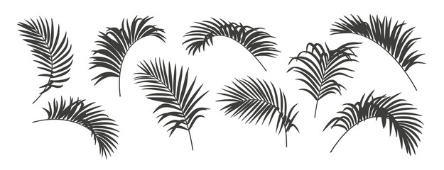 set of tropical coconut palm leaves. silhouettes isolated on a white background. monochrome elements