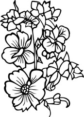  Flower line art illustration, floral vector drawing