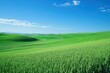 © Abba - Rolling green wheat fields stretch under a clear blue sky with a few white clouds. Use this peaceful image for travel brochures or environmental projects.