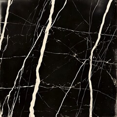 Poster - Elegant black and white marble background highlighting unique veins and striking patterns with a luxurious feel