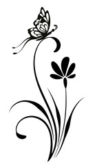 Poster - Wave ornament with flower, leaves and butterfly. Text divider. Decorative element for decor and text greeting or invitation card design.