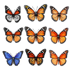 Poster - This image showcases a collection of detailed butterflies with unique wing patterns and markings all perfectly cut out and displayed against a clean white transparent background for a stunning