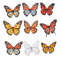 Poster - A collection of beautifully detailed butterflies each displaying its own vibrant colors and intricate wing patterns perfectly cut out and arranged in an composition against a clean