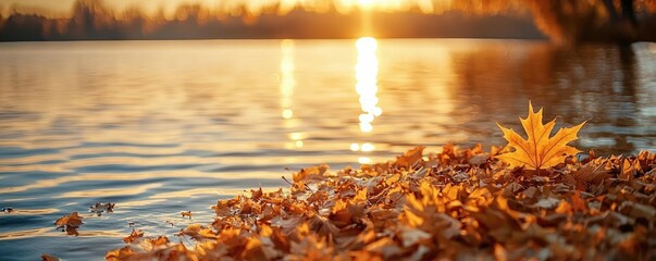 Aufkleber - Lakeside sunset landscapes idea. Serene autumn scene with golden leaves on water at sunset, reflecting nature's beauty.
