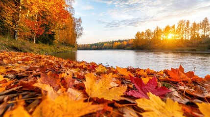 Poster - National park scenic landscapes idea. Vibrant autumn leaves by a tranquil river at sunset, showcasing nature's beauty.