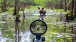© koji antero - Wildlife sighting through scope in swamp.  Wild boar in focus