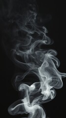 Poster - Wispy white smoke against dark background, ethereal movement. Abstract art concept