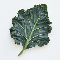 Poster - Dark green kale leaf featuring ruffled edges displayed on a clean white background highlighting its fresh texture and natural beauty