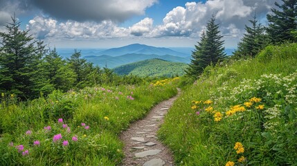 Aufkleber - Serene hiking trail winding through lush forest with vibrant wildflowers under a picturesque sky