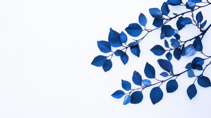Poster - Bold graphic arrangement of monochromatic leaves set against a clean background creates a striking visual contrast for design purposes