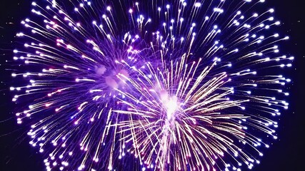 Vibrant fireworks exploding in night sky with colorful bursts and sparkling trails. 4k stock footage